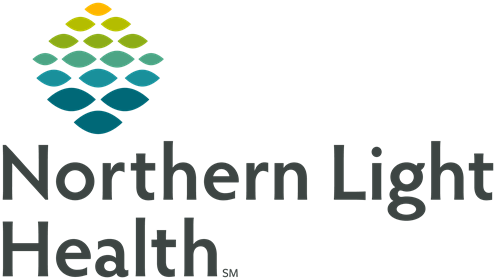 Northern Light logo