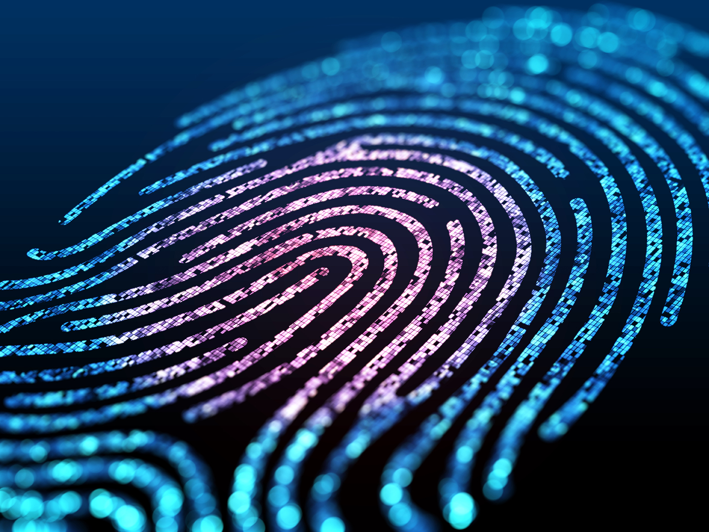 Passwordless biometric authentication